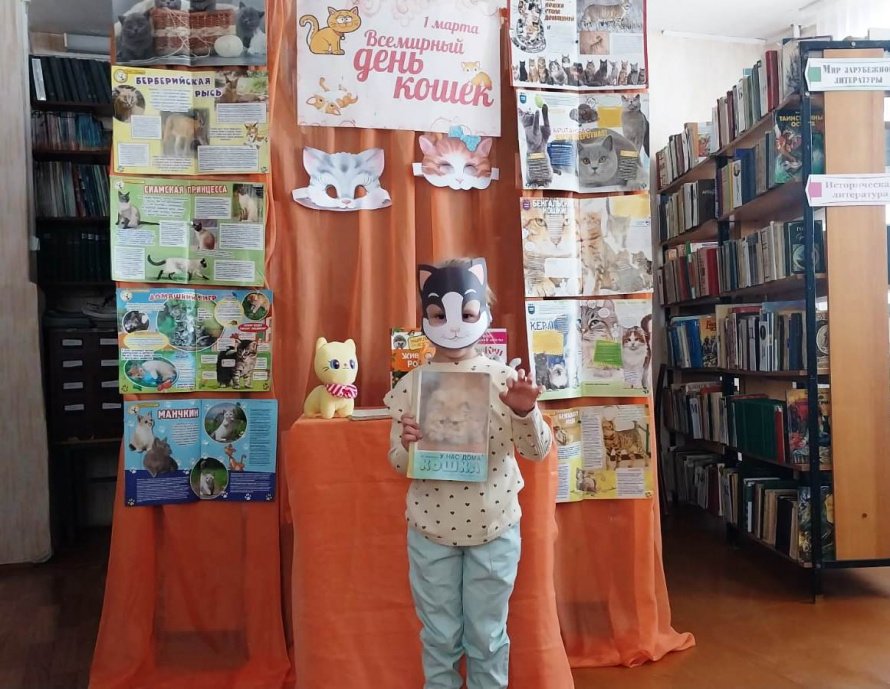 Кошкин день